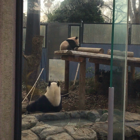 ２０１８年初の画像