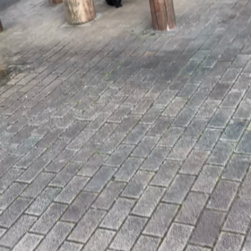 2020年2月3日　ヤマトの画像