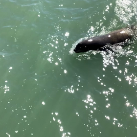 30分でブログを書くの画像