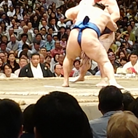 稀勢の里 勝ったの画像