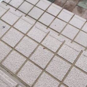 三蔵日記　　戯れないの画像