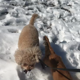 ♪お散歩動画♪代々木公園♪の画像