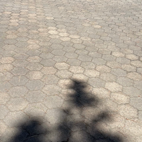 嫌がらせ動画集の画像