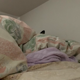 2021-33)　相棒の声に耳を傾ける　猫の満那さんの画像