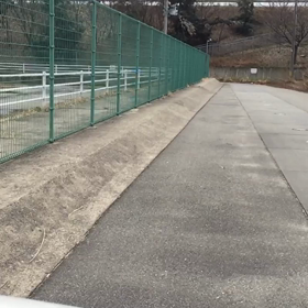 サーフスケートの画像