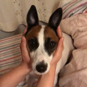 うさぎさん　^ ^の画像