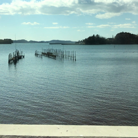 日本三景の画像