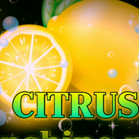 オリジナル曲 CITRUS のMVを作りました！の画像