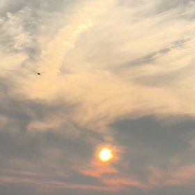 おはようございますの画像