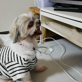 天気予報を見ない理由の画像