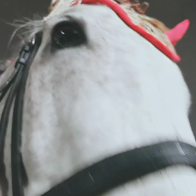 そして……なななんと！！！！！の画像