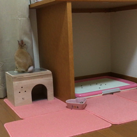 毎日部屋んぽ。の画像