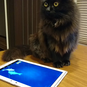 いいね！の画像