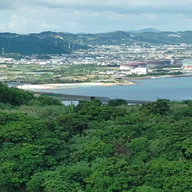 ミーグスクの画像