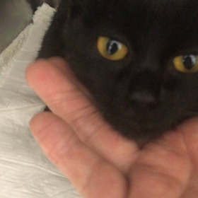 くろみつちゃん面会の画像