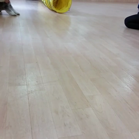 投稿できずにいた動画。の画像