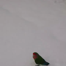 こんなころがあったシリーズ①の画像