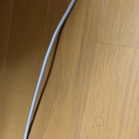 わんぱく盛りの画像