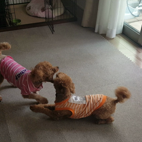 2歳な2人☆の画像