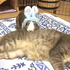 仲良く一緒に…の画像