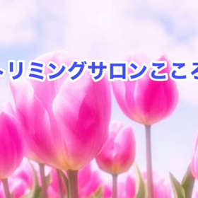 4月　〜スライドショー〜の画像