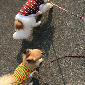 うちの子だけかな？の画像