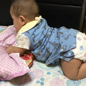 おいこりゃの画像