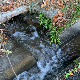 癒してくださいの画像