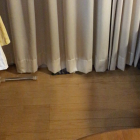 かくれんぼの画像