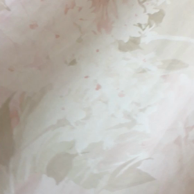 ゲムシタビンの画像