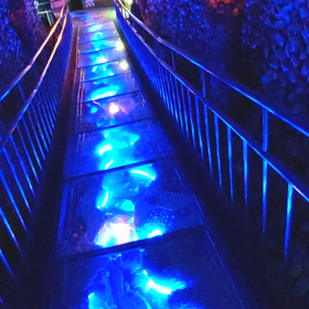 竹島ファンタジー館の画像