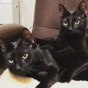 くるんくるんの画像