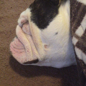 散歩の後・・・の画像