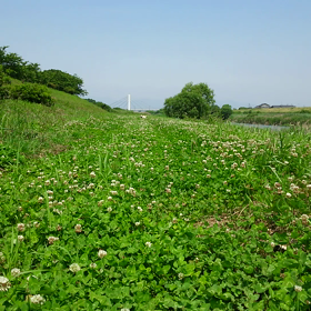 意外と勢いありの画像