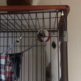 眠れないほど大好きの画像