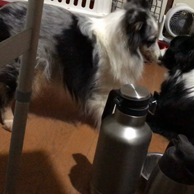 正月2日からの画像