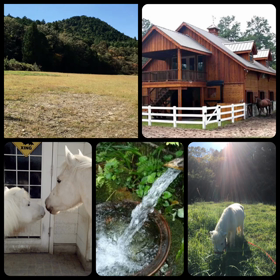 新しい課題♡の画像