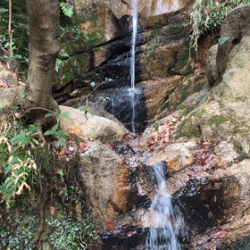 久々の六甲登山の画像