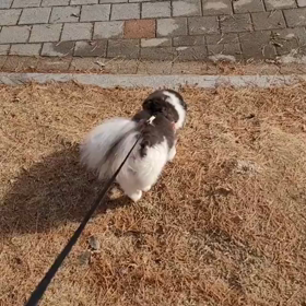 ジュンスのインスタの画像