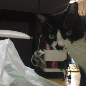 気にくわないやつの画像