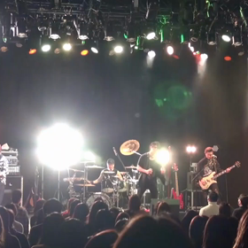 LIVEの動画の画像