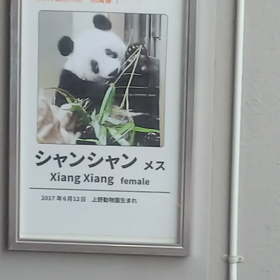 大誤算の夏の画像