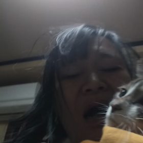 ふぅたんの異変。の画像