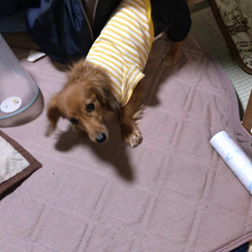 ご飯‼️の画像