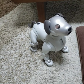 クリスマスダンスの画像