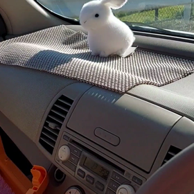 2021/04/21(水)　小走りもした日。と、おまけの動画。の画像