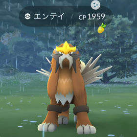 エンテイデイお疲れっした‼️‼️‼️の画像