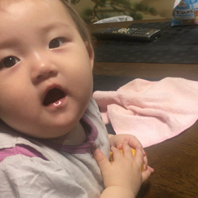 トンボ帰りの画像