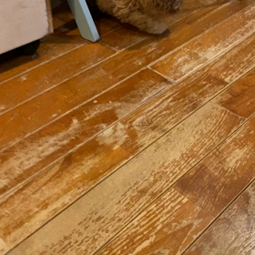 ハローくんの画像