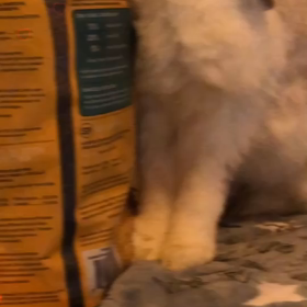 立ち食い失敗の画像